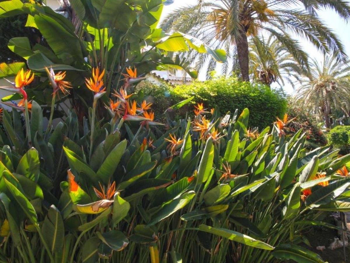 Belvilla By Oyo Golden Beach House Marbella Dış mekan fotoğraf